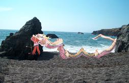 The Dragon Comes Out of the Sea #1-04